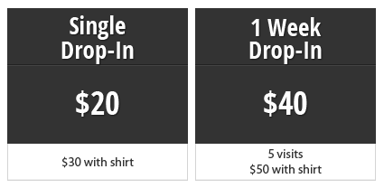 drop in pricing-table